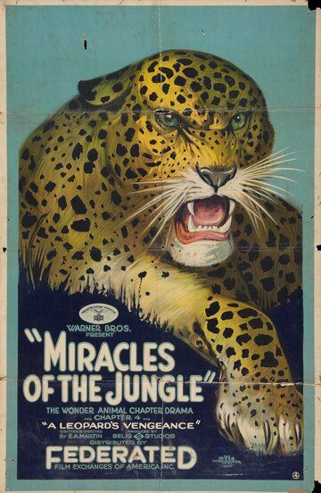 Постер фильма «Miracles of the Jungle»