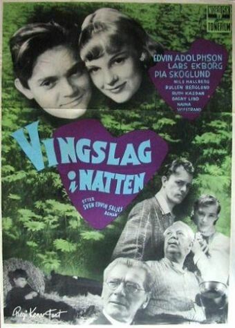 Постер фильма «Vingslag i natten»