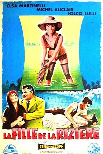 Постер фильма «Рисовое поле»
