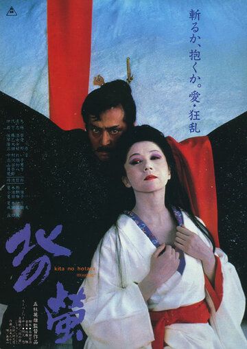 Постер фильма «Северные светлячки»