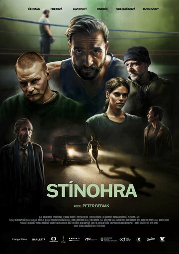 Постер фильма «Игра теней»
