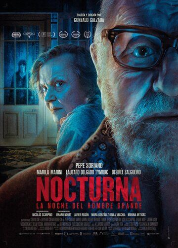 Постер фильма «Ночь великого человека»