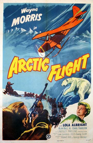 Постер фильма «Arctic Flight»