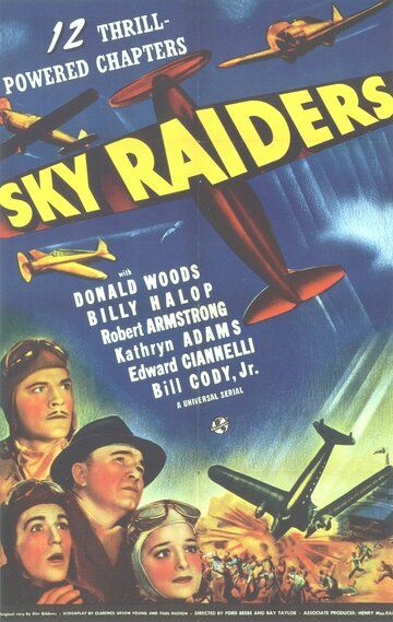 Постер фильма «Sky Raiders»
