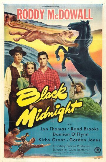 Постер фильма «Black Midnight»