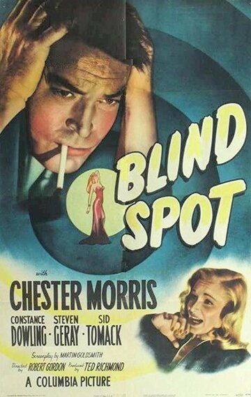 Постер фильма «Blind Spot»