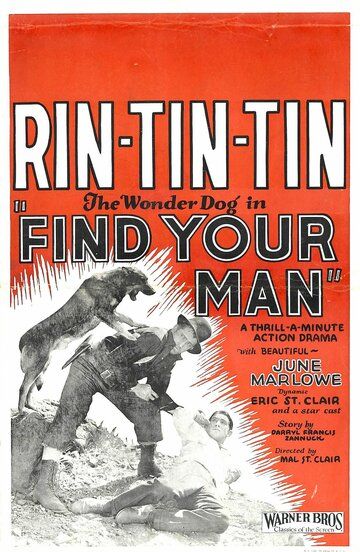 Постер фильма «Find Your Man»
