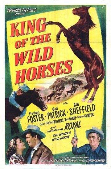 Постер фильма «King of the Wild Horses»