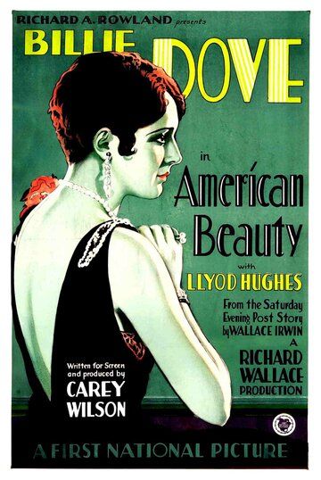 Постер фильма «The American Beauty»