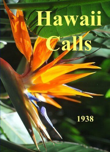 Постер фильма «Hawaii Calls»