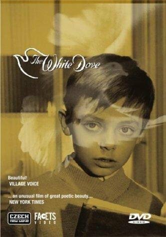 Постер фильма «The White Dove»
