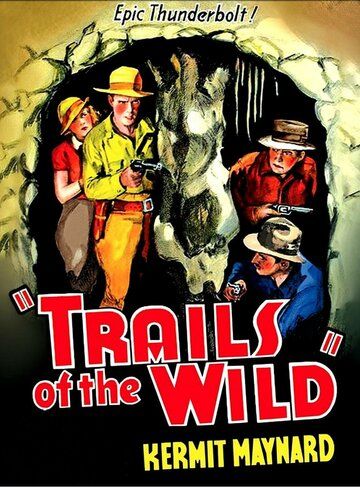 Постер фильма «Trails of the Wild»