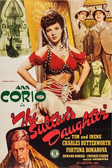 Постер фильма «The Sultan's Daughter»