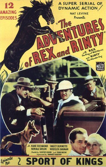 Постер фильма «The Adventures of Rex and Rinty»