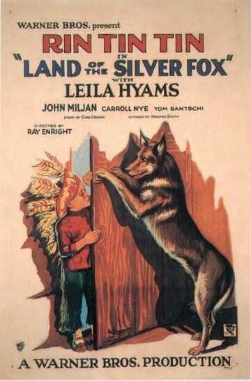 Постер фильма «Land of the Silver Fox»
