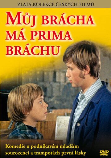 Постер фильма «У моего брата отличный братишка»