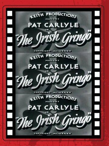 Постер фильма «The Irish Gringo»