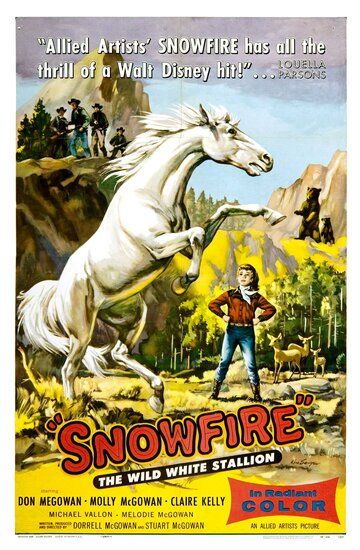 Постер фильма «Snowfire»