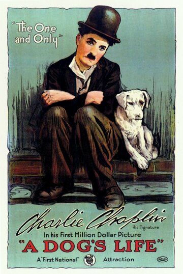 Собачья жизнь
