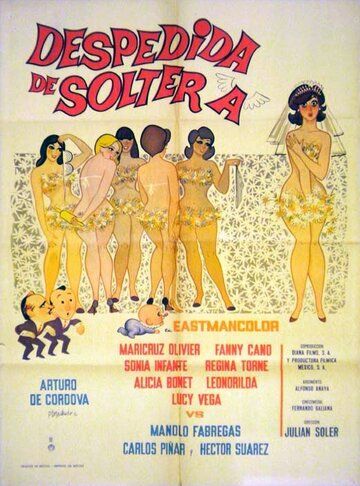 Постер фильма «Despedida de soltera»