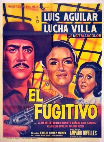 Постер фильма «El fugitivo»