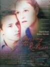 Постер фильма «Crossing the Rubicon»
