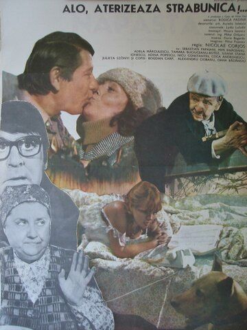 Постер фильма «Alo, aterizeaza strabunica!»