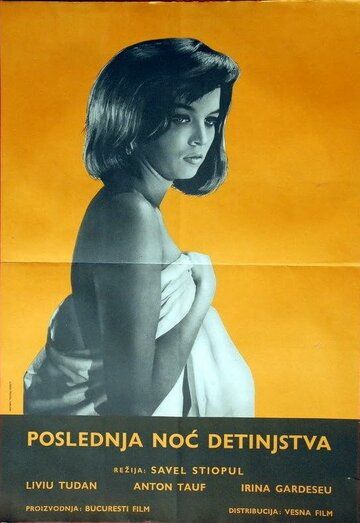 Постер фильма «Ultima noapte a copilariei»