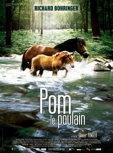 Постер фильма «Pom, le poulain»