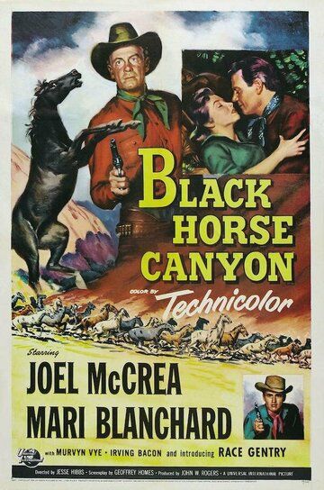 Постер фильма «Black Horse Canyon»