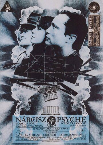 Постер фильма «Нарцисс и Психея»
