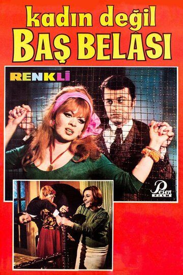 Постер фильма «Kadin degil bas belasi»