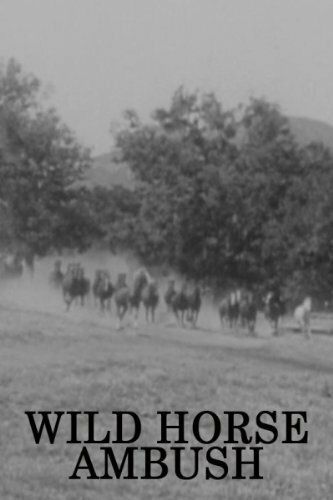Постер фильма «Wild Horse Ambush»