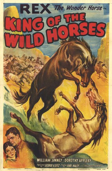 Постер фильма «King of the Wild Horses»