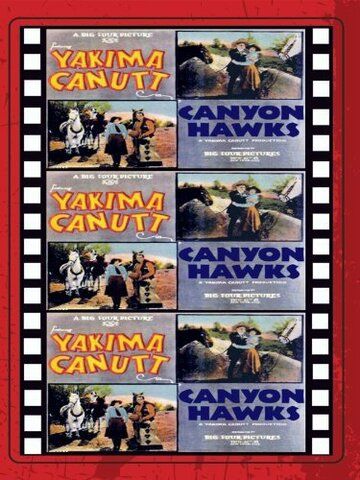 Постер фильма «Canyon Hawks»