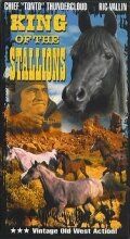 Постер фильма «King of the Stallions»