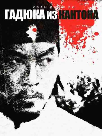 Постер фильма «Гадюка из Кантона»