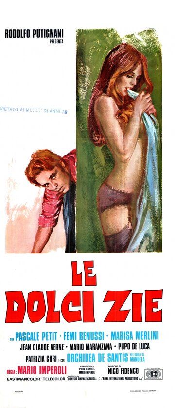 Постер фильма «Le dolci zie»