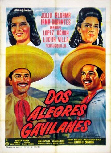 Постер фильма «Dos alegres gavilanes»