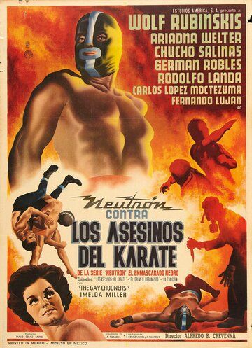 Постер фильма «Los asesinos del karate»