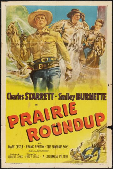 Постер фильма «Prairie Roundup»