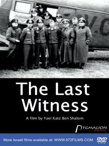 Постер фильма «The Last Witness»