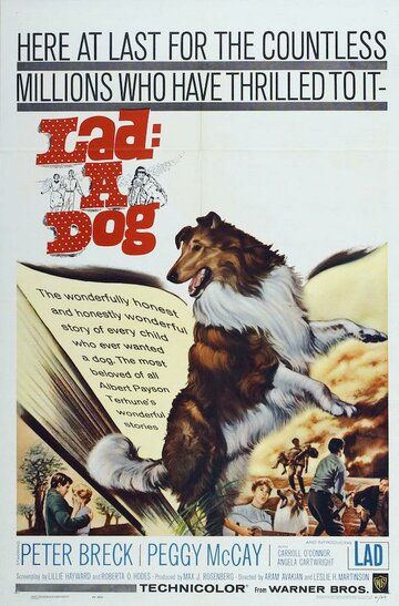 Lad: A Dog