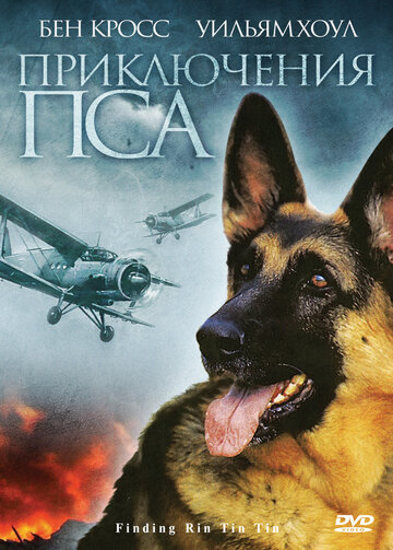 Постер фильма «Приключения пса»