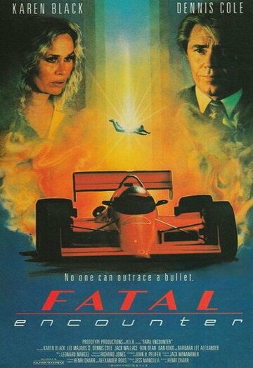 Постер фильма «Fatal Encounter»