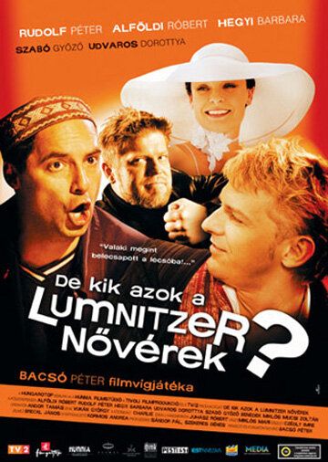Постер фильма «Кто такие сестры Лумницер?»