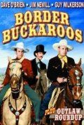 Постер фильма «Outlaw Roundup»