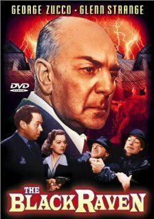 Постер фильма «Чёрный ворон»