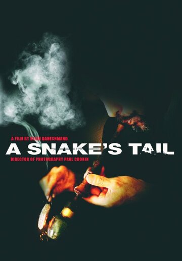 Постер фильма «A Snake's Tail»
