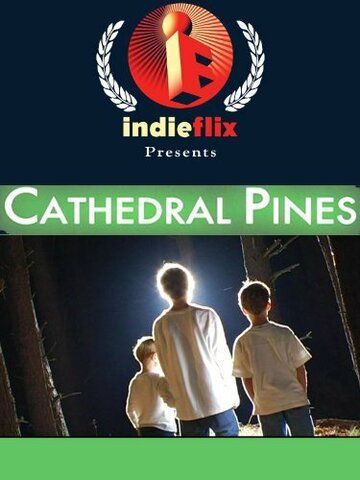 Постер фильма «Cathedral Pines»